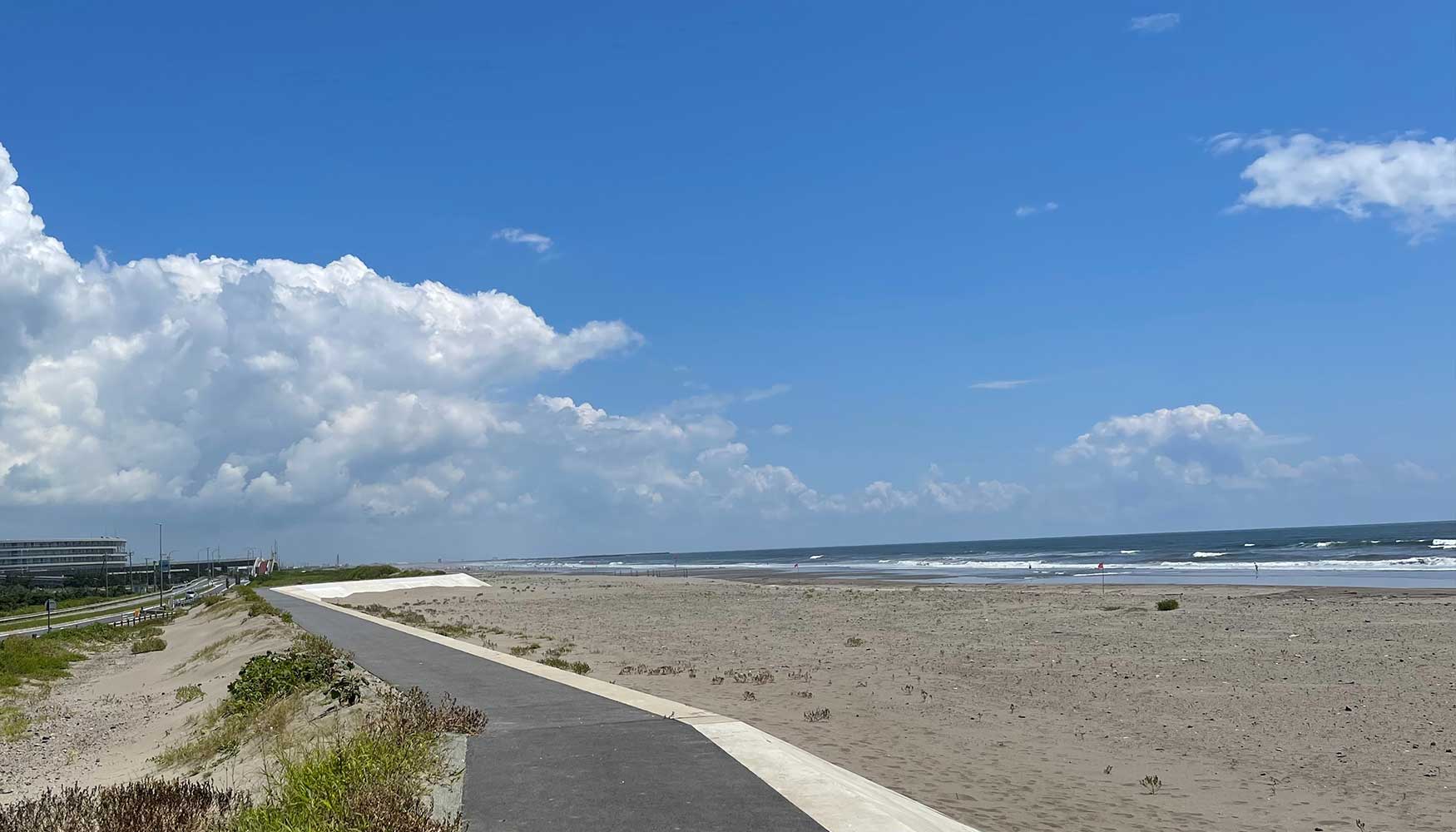 大網の海